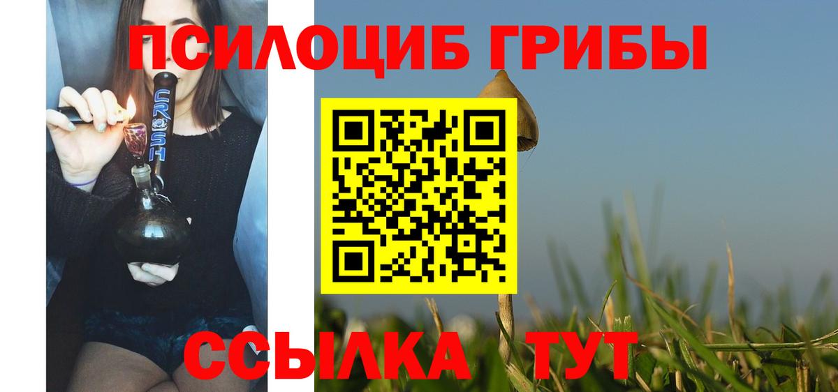 Норильск  Галлюциногенные грибы мухоморы  Вход с VPN 